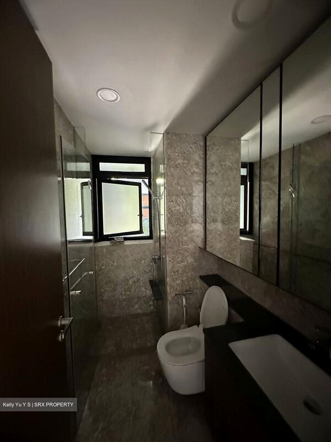 Kopar At Newton (D9), Apartment #503993051